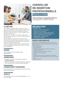 Fiche parcours de la formation conseiller en insertion professionnelle Fiche parcours de la formation conseiller en insertion professionnelle