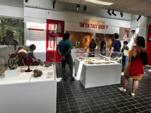 Des visiteurs découvrent une exposition dans un musée, autour de vitrines présentant des objets et des panneaux explicatifs - apprendre autrement grâce à la culture